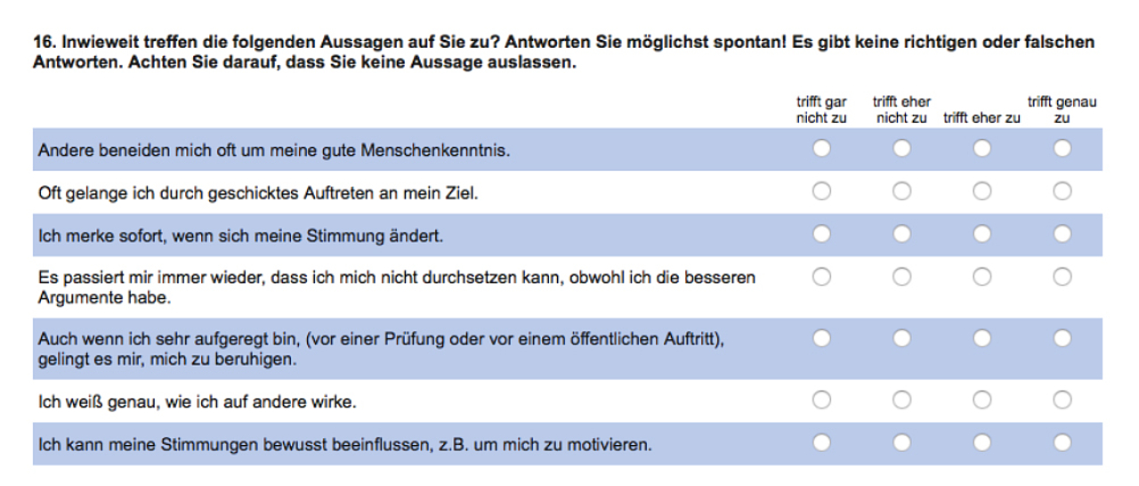 Ausschnitt aus dem Fragebogen von Pia Weißberg mit insgesamt 98 Items