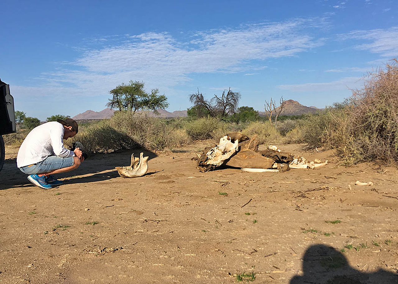 During the shooting of a documentary about the rhino trade in Namibia 