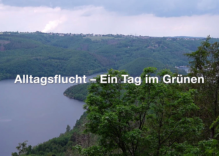 Master-Studierende der HMKW haben im Nationalpark Eifel einen Dokumentarfilm gedreht - mit Luftaufnahmen, Interviews und Wildtieraufnahmen.
